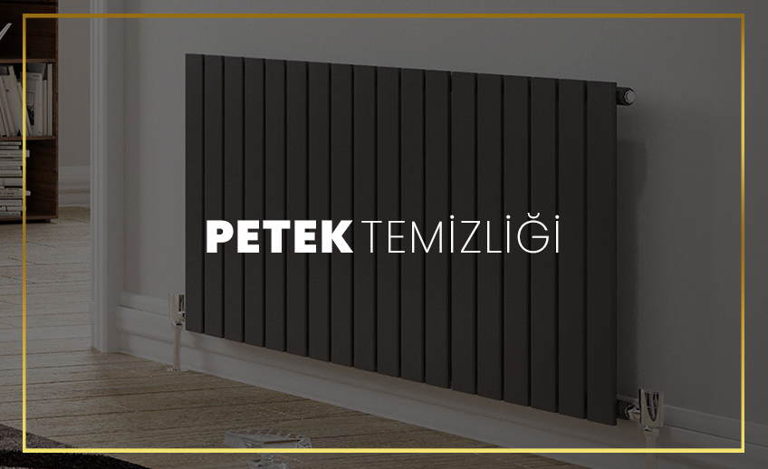 Aplus Petek Temizliği